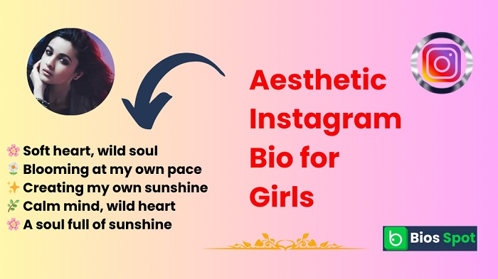 Aesthetic Instagram Bio for Girls