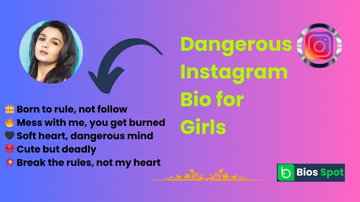 Dangerous Instagram Bio for Girls