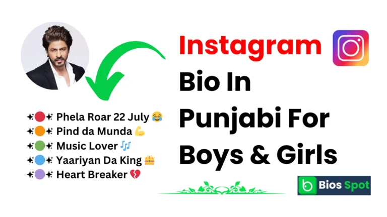 Instagram Bio In Punjabi For Boys & Girls