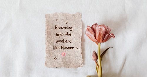 50 Flower Quotes for Instagram 🌸✨